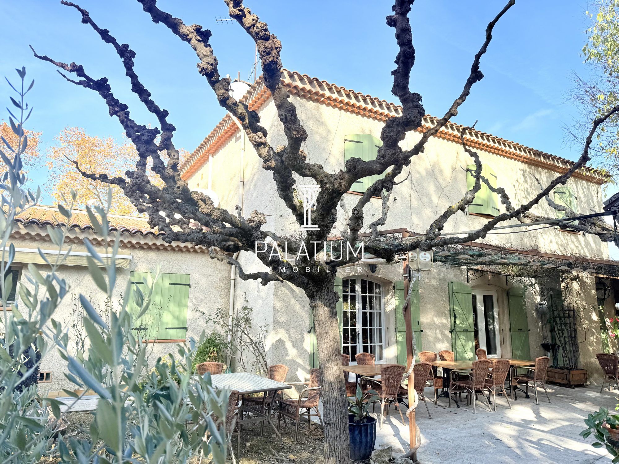 Commerce à Vinon-sur-Verdon, photo 3