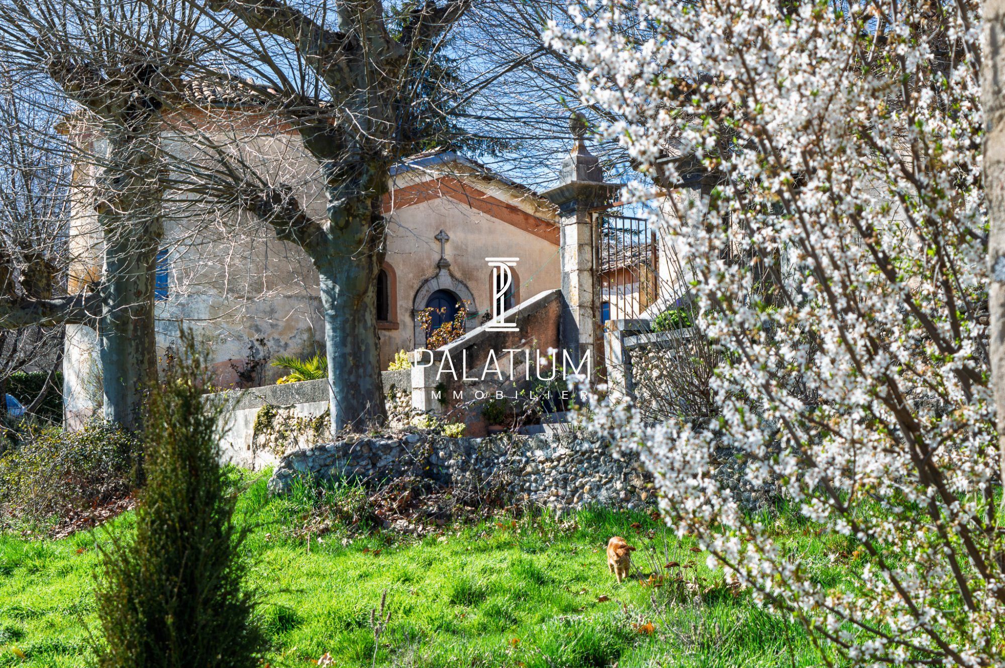 Maison à Thoard, photo 5