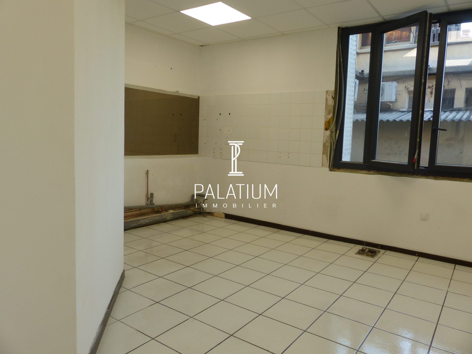 Local professionnel à Château-Arnoux-Saint-Auban, photo 3